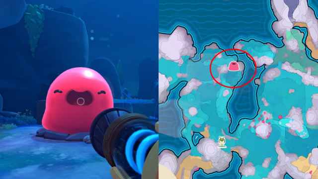 Slime Rancher 2 Pink Gordo