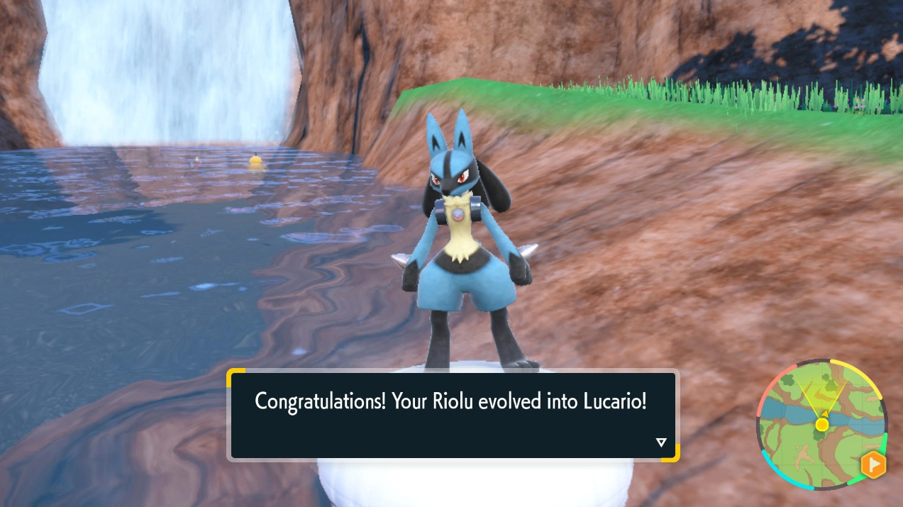 Riolu evolution in pokemon scarlet and violet