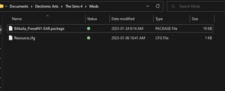 The Sims 4 Mods Installation Folder