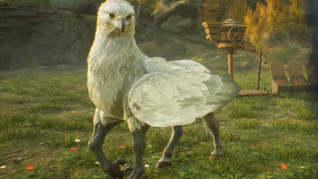 Hippogriff Hogwarts Legacy Cutest Animals List