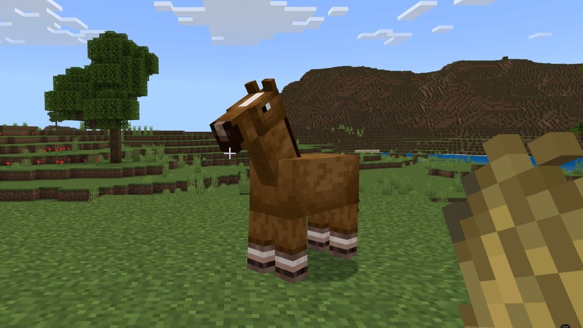 Minecraft Horse