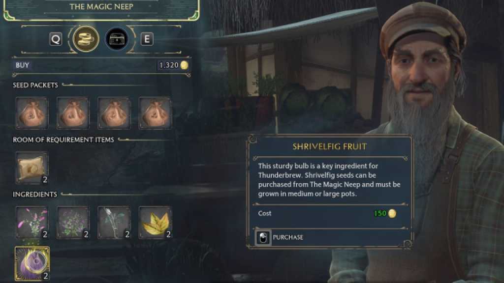 Shrivelfig Fruit Shop in Hogwarts Legacy