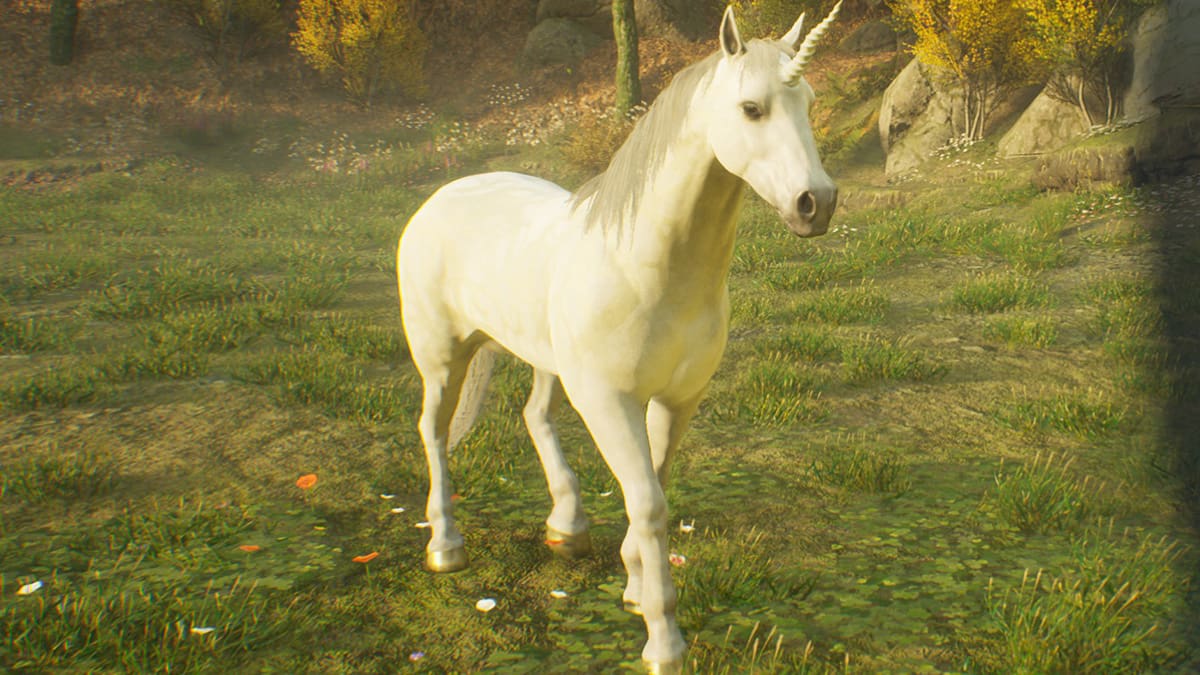 Where to Find Unicorns in Hogwarts Legacy