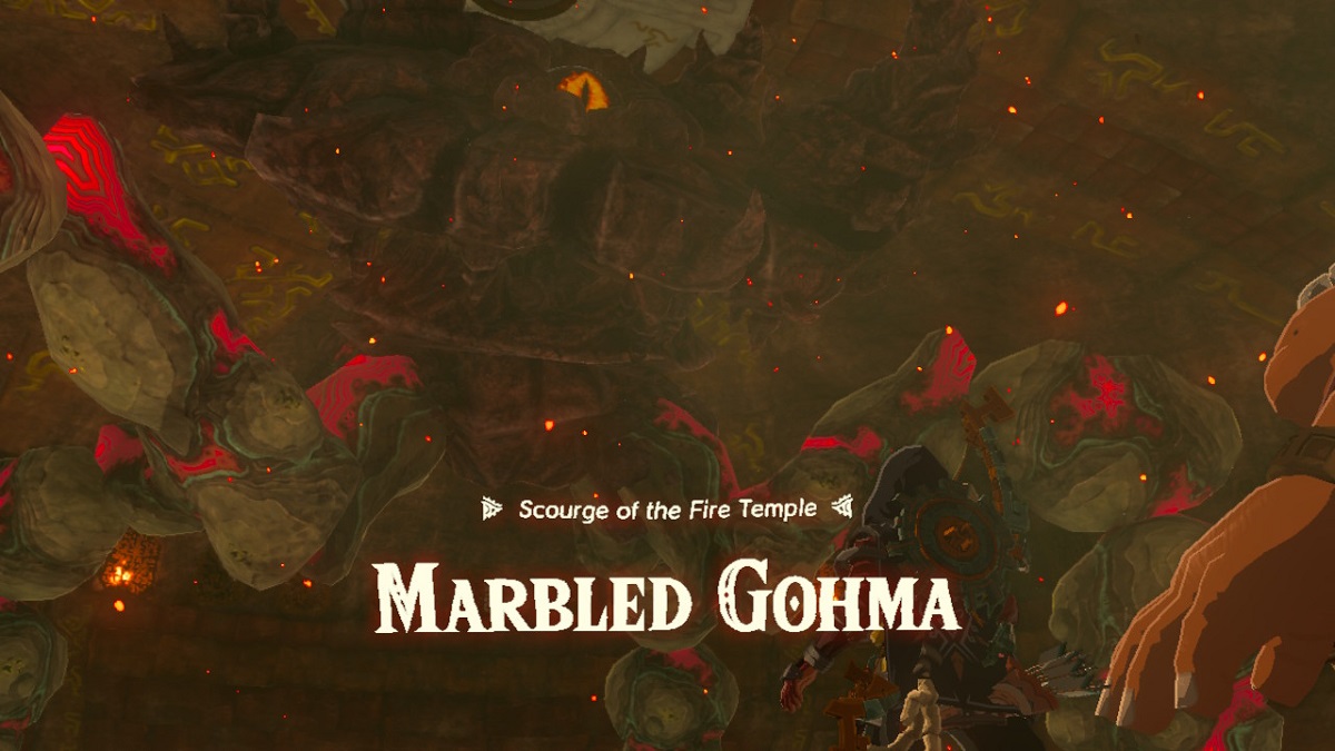 How to Beat Marbled Gohma in Tears of the Kingdom (TOTK)