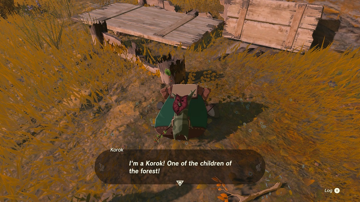 How to Reunite Korok Friends on Great Sky Island in The Legend of Zelda Tears of the Kingdom