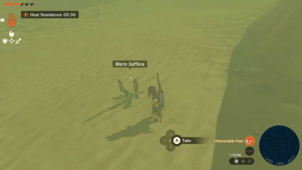 TOTK Warm Safflina in Gerudo Desert