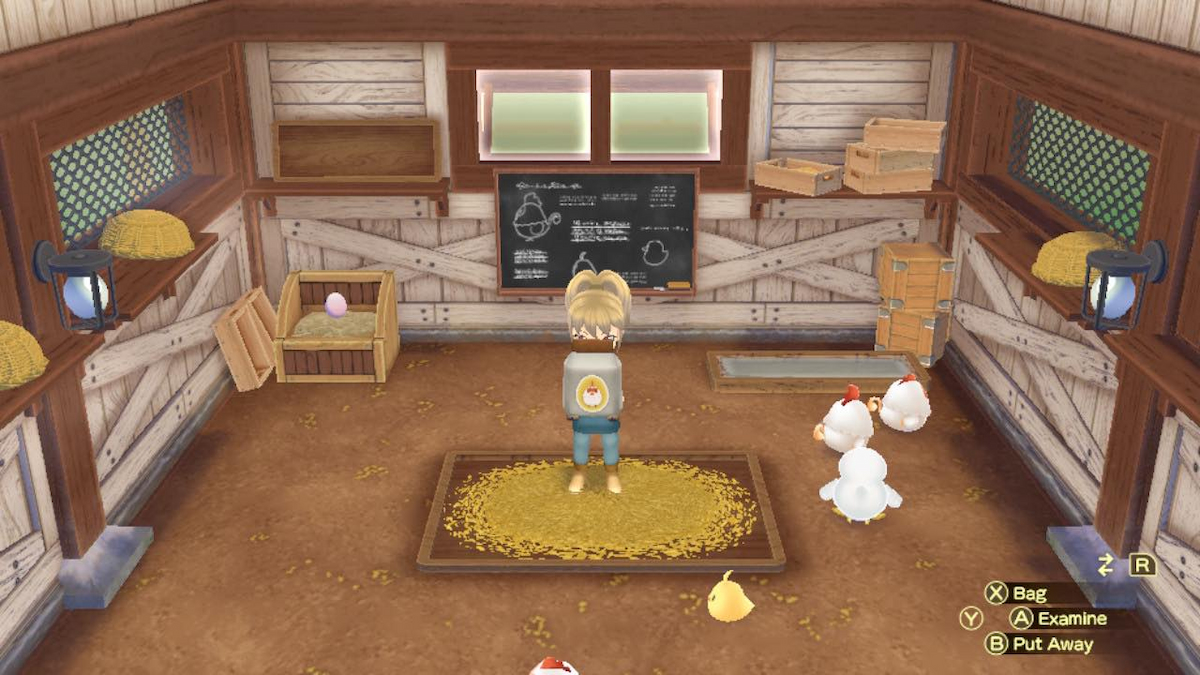 Story of Seasons A Wonderful Life Bird Food