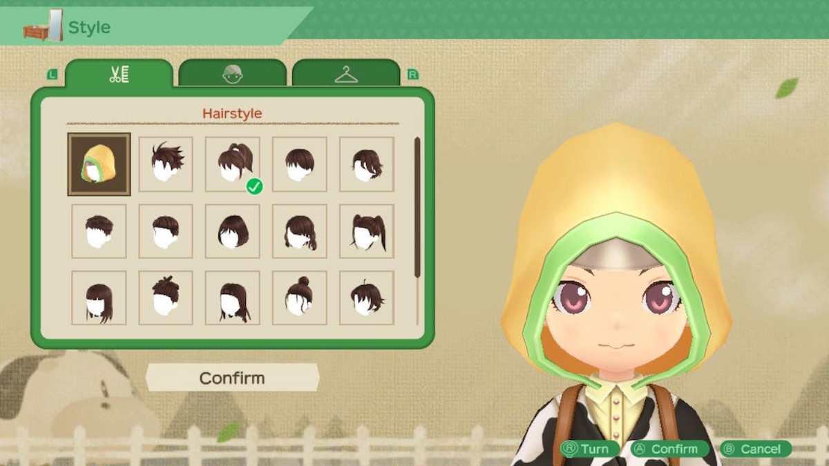 Story of Seasons A Wonderful Life Customize