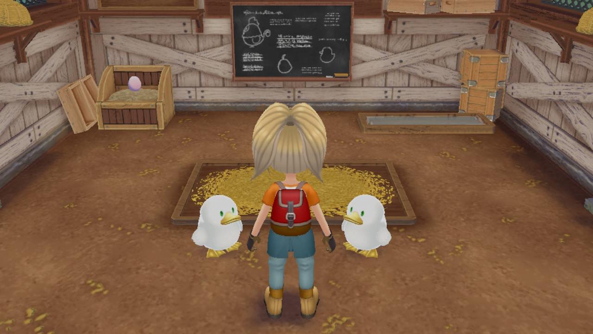 Story of Seasons: A Wonderful Life - Ducks