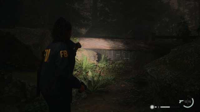 Cabin Alan Wake 2