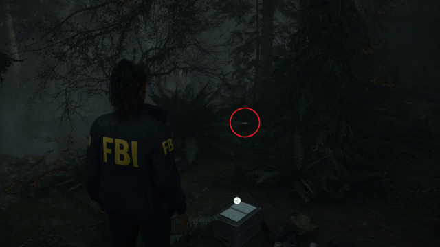 Lunchbox location Alan Wake 2 Witch.