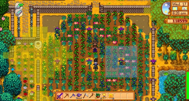 Range Display Example in Stardew Valley