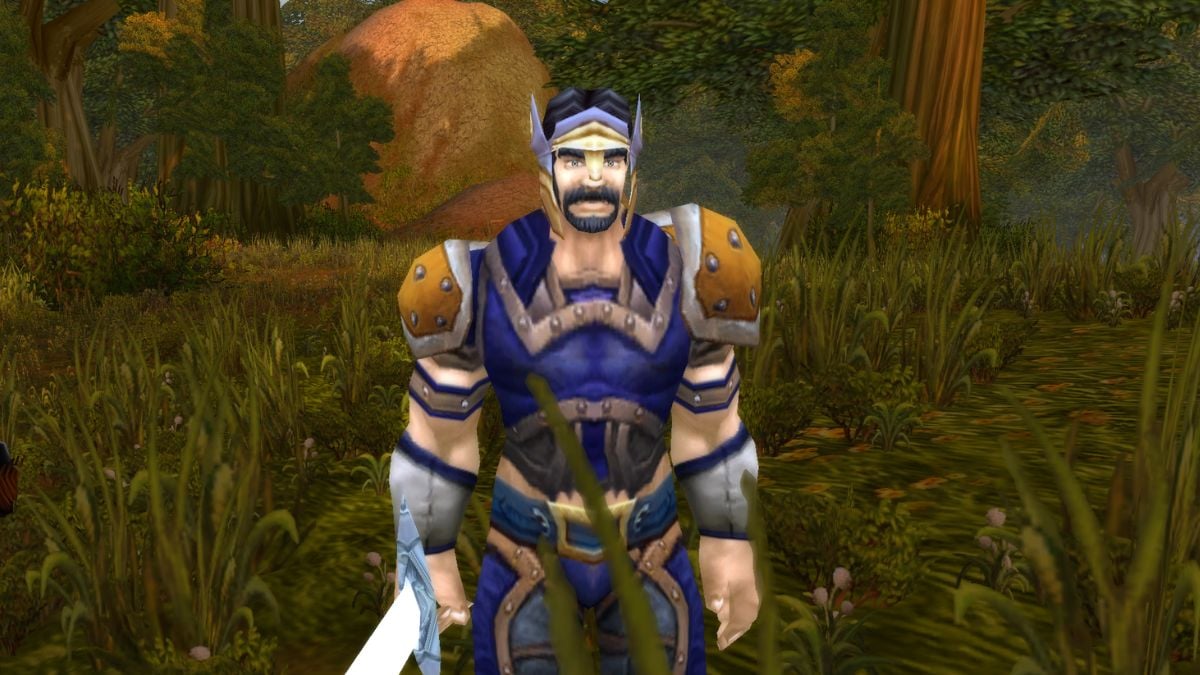 Screenshot of the Wandering Swordsman in WoW SoD Season of Discovery.