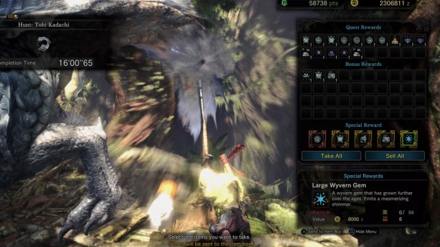 Large Wyvern Gem Monster Hunter World