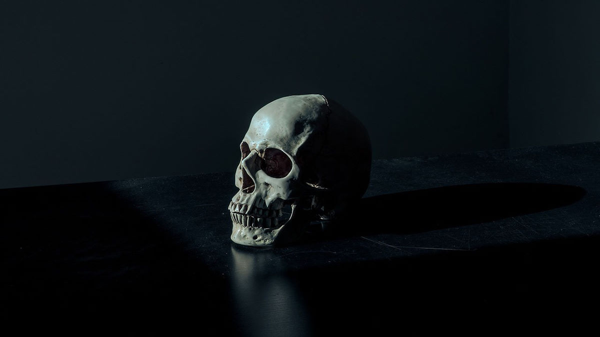 Skull on black background