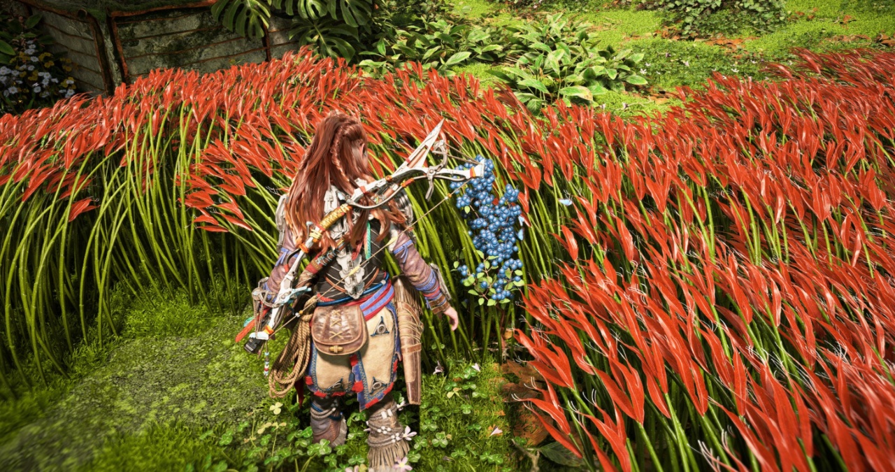 Horizon Forbidden West Healing Berries