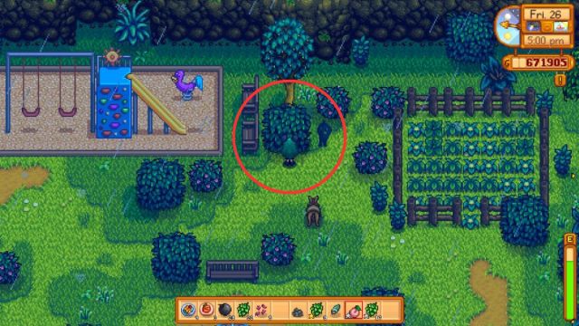 Stardew Valley Mysterious Figure Location