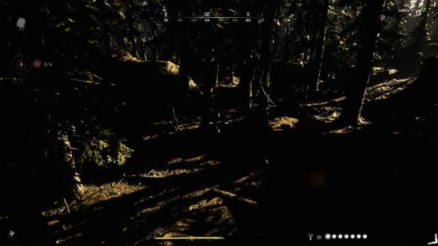 Hunt Showdown 1896 Black Shadows Issue